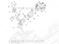 Gasklephuis - Injector - Spruitstuk