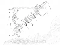 Gasklephuis - Injector - Spruitstuk