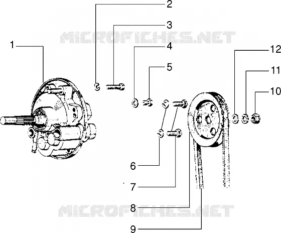 Rear Hub