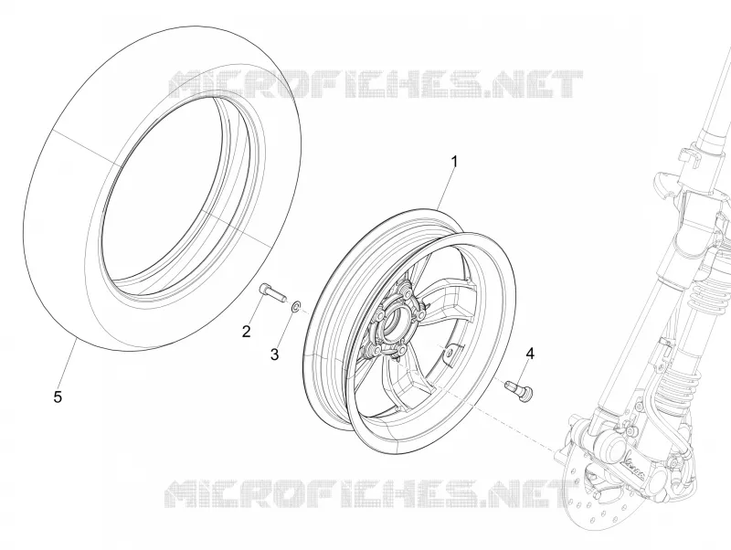 Front wheel